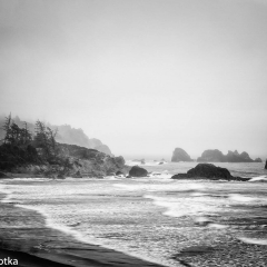 _JDL7951  6 AM at Ecola Point Monochrome _