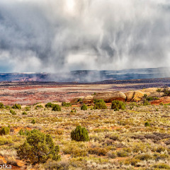 JDL3123-copy-Snow-Shower-_