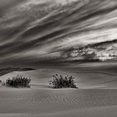 _JDL6145 Mesquite Dunes version 2 cropped monochrome _