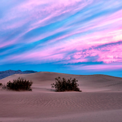 _JDL6145 copy Mesquite Dunes Sunset  cropped V 3_