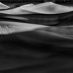 _JDL6254 copy Mesquite dunes early light cropped V 2 monochrome _