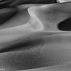 _JDL6309 copy Dune Curves V 2 in monochrome_