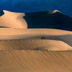 Warm Rays Mesquite Dunes Focus stacked