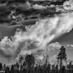 JDL6191-Edit-Point-Imperial-Cloud-at-Sunrise-in-monochrome_