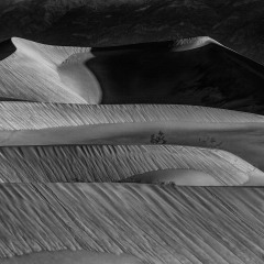 Warm-Rays-Mesquite-Dunes-Focus-stacked-topaz-denoise-sharpen-2-Monochrome__
