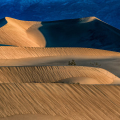Warm-Rays-Mesquite-Dunes-Focus-stacked-topaz-denoise-sharpen-2