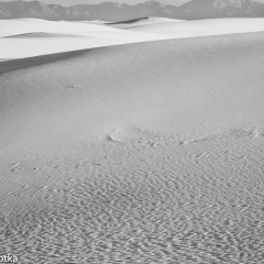 Dune No 1  monochrome   2018-09-19 16-37-49 (B,Radius8,Smoothing4)