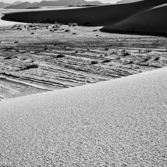 Thursday PM Dune No 1 Monochrome 2018-09-18 11-10-48 (B,Radius8,Smoothing4)